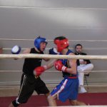 Boks Liga 2009 Slovenska Bistrica